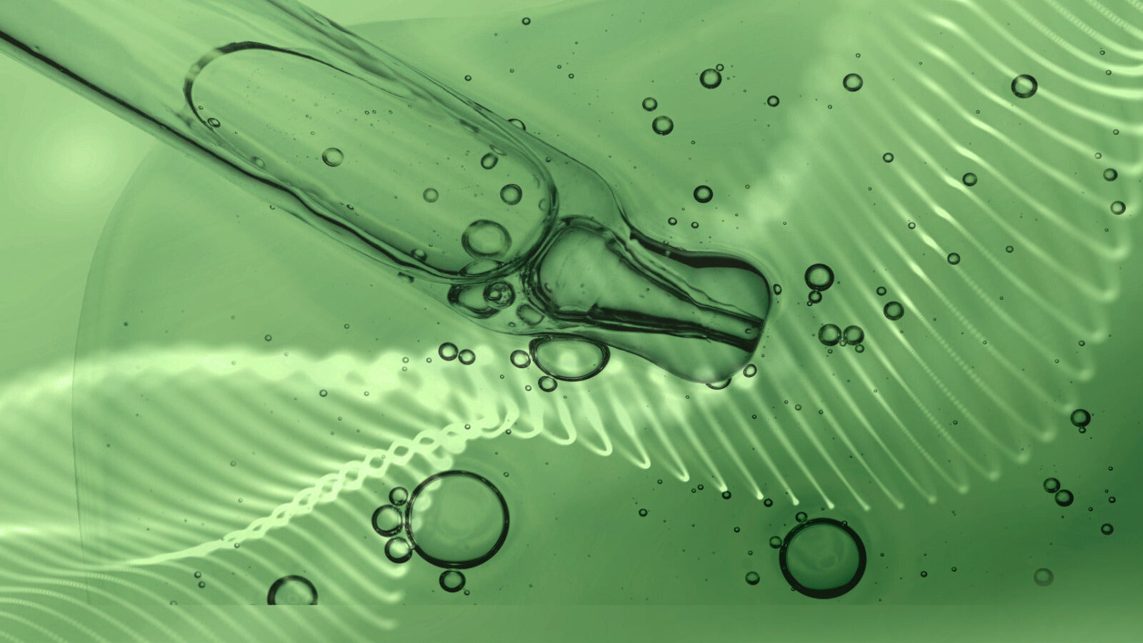 slider image slider_item_z7FnQE